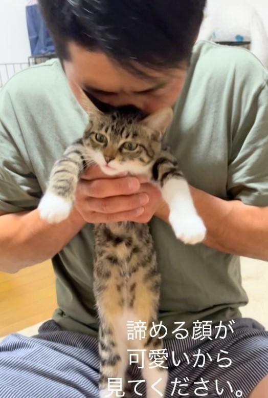 旦那からスリスリされる子猫の表情が話題に（koko230721さん提供、Instagramよりキャプチャ撮影）