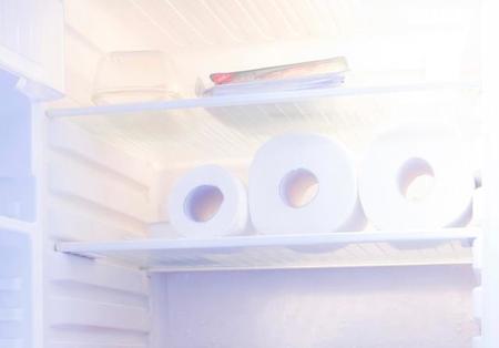冷蔵庫にトイレットペーパー、本当に効果があるの？（Imaginando/stock.adobe.com）