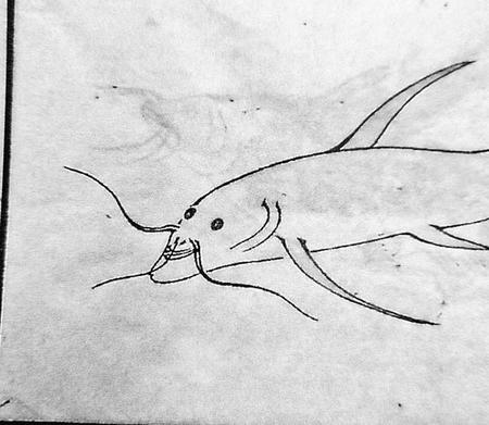 江戸時代の古文書に描かれた謎の魚「ガナイタ」（寺西政洋さん提供）