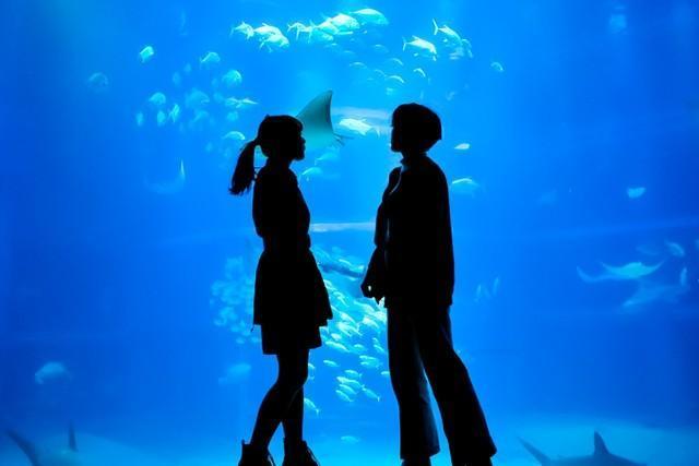 婚活男女に人気のデートは「水族館」　※画像はイメージです（photoAC）