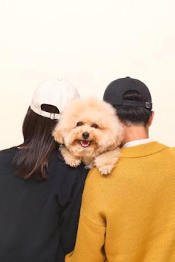 最初にXに投稿された、結婚記念の素敵な家族写真！「写真を撮る前に思いっきり遊んで、抱っこする時に気持ちグッと持ち上げてあげると、にっこりわんこがよく見えると思います」とポストしていた飼い主さん（画像提供：ポテチやでさん @potechi_yade）