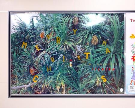 全体的にキラキラ…いいちこのクリスマスシーズンのポスター（提供：津田淳子さん）