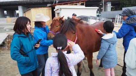 和種馬ホースランドを訪れ、楽しそうにブラッシングする子どもたち