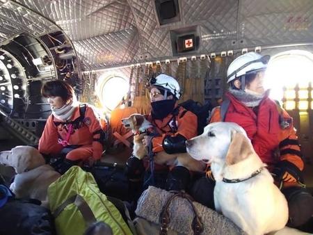「コーギー犬もいる！」珠洲市に派遣された捜索救助犬たち　自衛隊や消防と連携し、ボランティアで活動する姿に「涙が…」