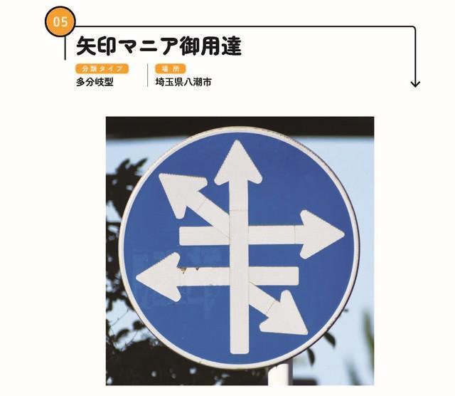 ナニコレ珍標識 矢印標識マニアが厳選した全国の面白＆レアの集大成本