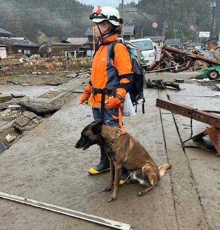 「令和6年能登半島地震」の捜索救助に出動し、瓦礫の下から行方不明者を発見した「捜索救助犬HDSK9」所属の救助犬、リッターくんとハンドラーさん（画像提供：HDSK9捜索救助犬_ボランティアさん @HDSK9_V）