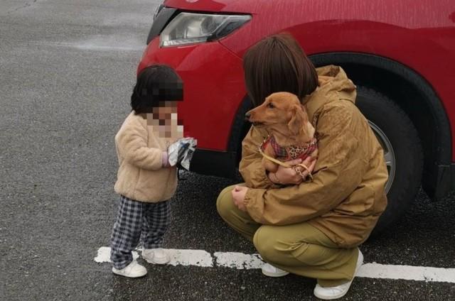 避難所の中に入れずペットと共に車中泊する人も多い