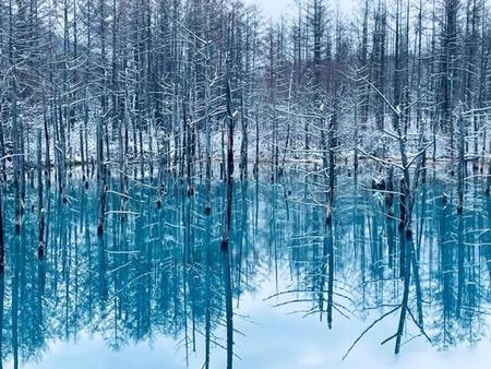 冬でも水面が凍らなければ青く見える（画像提供：美瑛町観光協会）