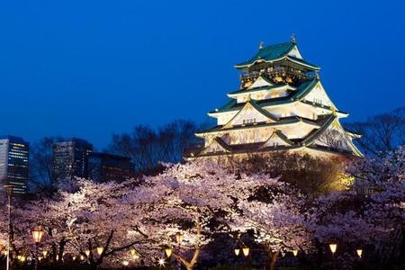 大阪城と夜桜（Paylessimages/stock.adobe.com）