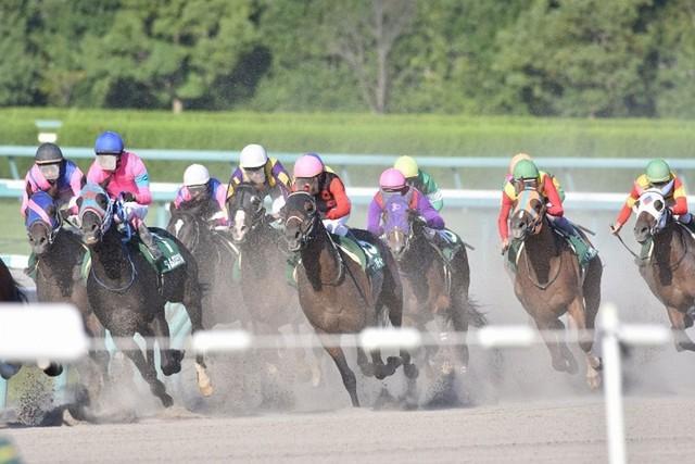 競馬も公営ギャンブル