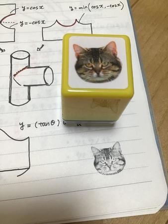 あまりにリアルな猫ちゃんスタンプ（提供：桐朋電子研所長さん）