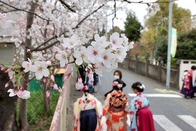 【イメージ写真】３月は卒業式の多いシーズン。あなたは卒業式で何を歌いましたか？（２０２３年、京都市内）