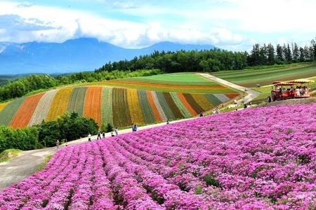 人生で一度もゴキブリを見たことがない人は「北海道在住者」が多い!?　 ※画像はイメージです（yuri-ab/stock.adobe.com）