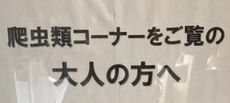 学習施設の掲示板が「大人の方へ」と呼び掛けるワケ　爬虫類の展示を見て「気持ち悪い」と言う大人…子供の感性を歪めないで