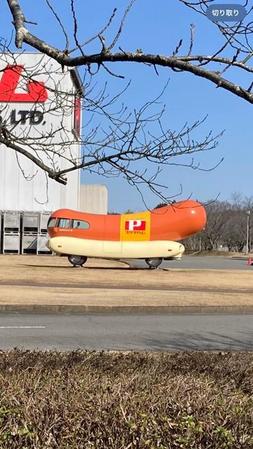 「なにこの車?乗ってみたい!」その姿に「圧倒的な存在感」「可愛いな~」「通るたびに気になってたやつ」
