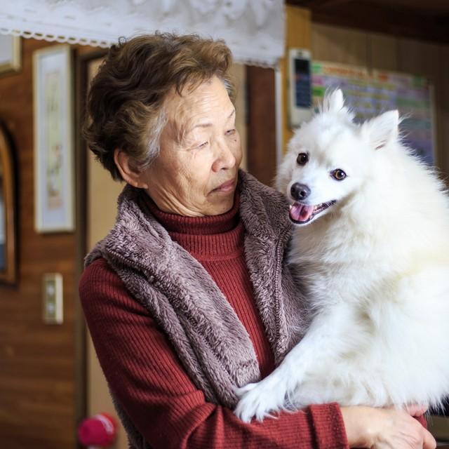 高齢者の方が、生活の癒やしとしてペットを買い求めることが増えているそうです　※画像はイメージです（beeboys/stock.adobe.com）