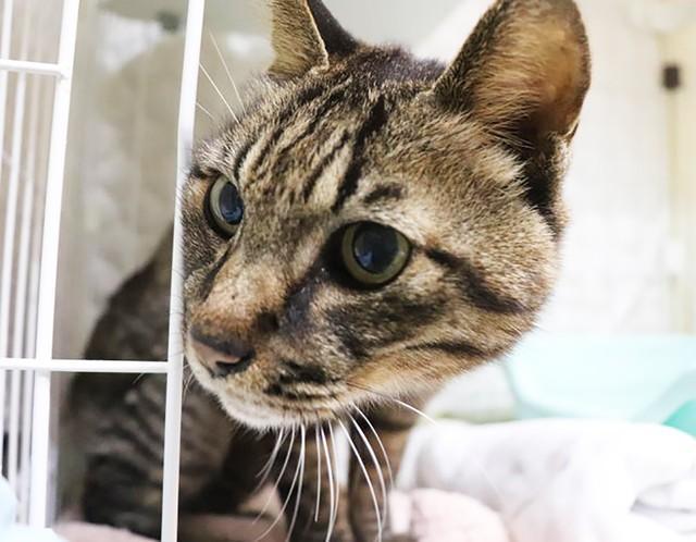 2023年の年末に、食品加工会社に姿を現すようになった川口くん