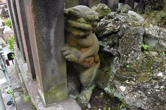 そんな目で見つめられても…（結一さん提供）