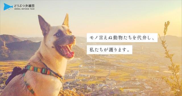 『NPO法人 どうぶつ弁護団』はモノ言えぬ動物たちの代弁者として設立（画像提供＝どうぶつ弁護団）