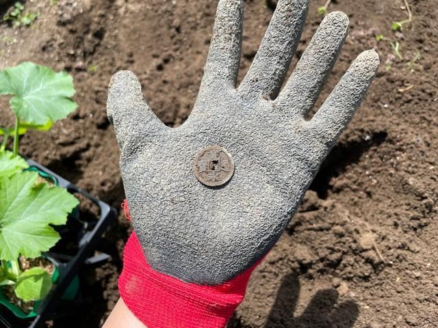 昔の硬貨(畑から出てきました) 畑から寛永通宝出てきた」江戸時代の古銭を発見!なぜ、ここに