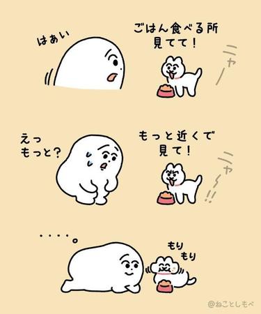 猫あるある？「至近距離で食事する所を見てて欲しい猫」のイラストが話題に