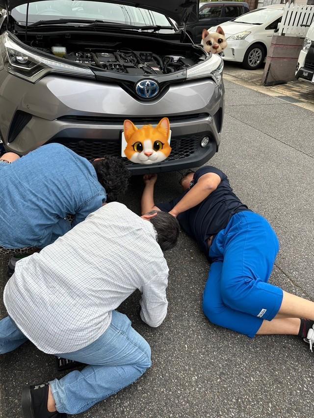 車の下から子猫たちを救出しようと試みるおじさんたち（櫻園さん提供）