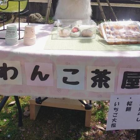 「わんこ茶屋」！？（画像提供：くーさんママさん @kukuri_shibainu）