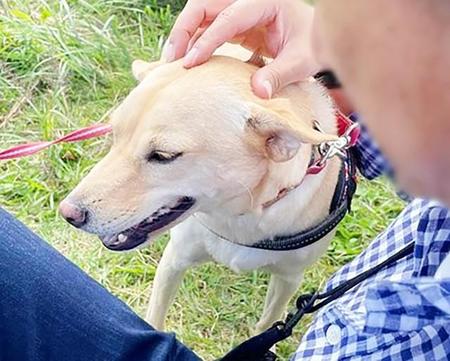 あなたと出会い世界が変わった　保護犬を迎えた里親夫妻の輝く日々　「天寿をまっとうするまで一緒だよ」