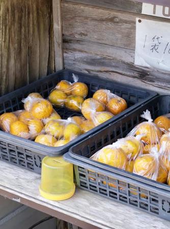 野菜の無人販売所、まさかの会計方法が話題に…野菜と一緒に50円玉が！？