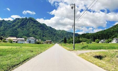 一攫千金のチャンス？私有地に立てられた電柱には土地使用料が