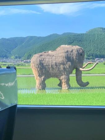 電車に乗っていたら、田んぼの中に突然マンモスが…！？ ※ねぎ子さん提供