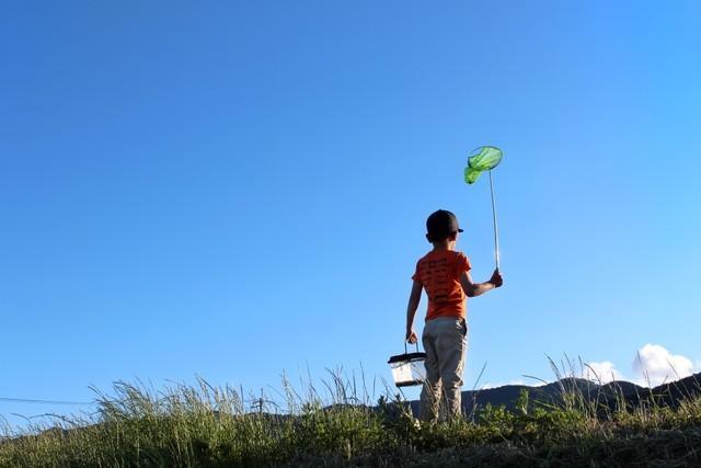 みなさんは子供のころ、どんな夏休みを過ごしましたか？