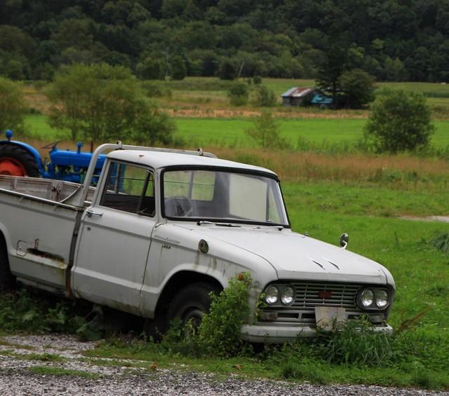 実家に動かない車はありませんか　※画像はイメージです（onaka/stock.adobe.com）