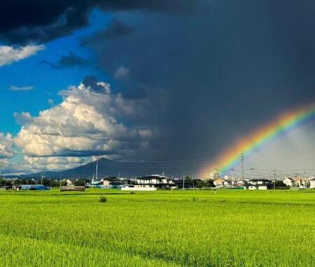 「夏の雲と虹を同時に…」奇跡的な夏空の写真に反響「アニメの世界みたい」「空のコントラストが素晴らしすぎる…」