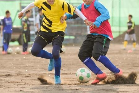 教員が「部活動の地域移行に期待していること」は…2位「専門的な指導を受けられる」、1位は？