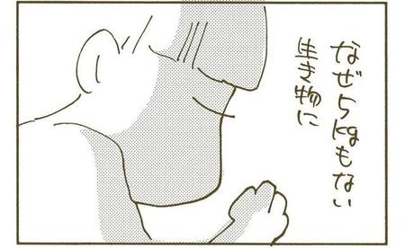 【漫画】マットの真ん中で寝ていたはずが…なぜか「いとも簡単に追い出されるんだなぁ」　“猫ファースト”のお昼寝あるあるに共感