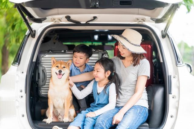 愛犬家が車選びで最も重視するのは車の「広さ」　※画像はイメージです（Thirawatana/stock.adobe.com）