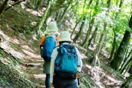 登山・ハイキング愛好者が推す「低山」ランキング　3位「陣馬山」、2位「筑波山」