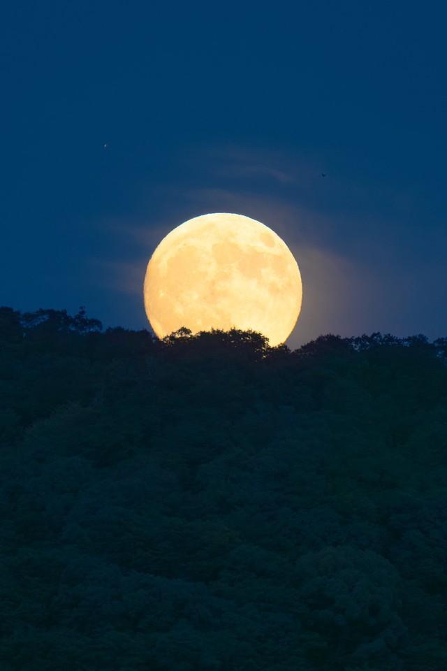 京都の夜空に浮かぶ中秋の名月（提供：京都大学OASES/PONCOTSプロジェクトさん）