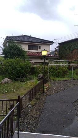 降雹によって奇跡の復活…！ ※猫が好きさん提供