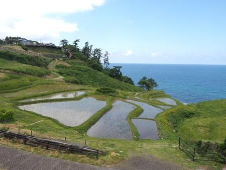 「やっとここまで直したのに…」。元旦の能登半島地震から地道に修復作業を行っていた石川・能登の白米千枚田。豪雨でこんなことになるなんて…（いずれも提供写真）