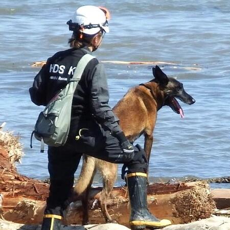 令和6年9月21日能登半島で発生した豪雨災害の被害による行方不明者を発見するため現地に出動した「捜索救助犬HDS K9」所属の捜索救助犬、リッターくんとハンドラーさん（画像提供：捜索救助犬HDS K9さん）