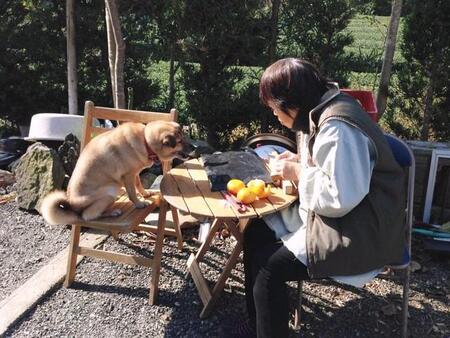 今は亡き愛犬と母の『女子会』…庭先でみかんを囲む、微笑ましい光景にほっこり「素敵な写真」「笑顔になる一枚」