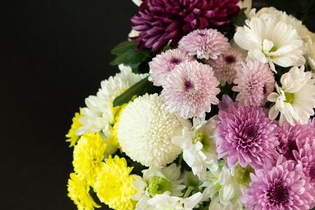 「き…菊!!!」オーストラリアで菊の花束をプレゼントされドキッ 日本では仏花のイメージ、海外では?