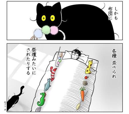 飼い主の布団には入らないがおもちゃを並べて飼い主を気にする筆坊（筆坊日記さん提供）