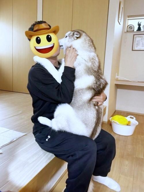 ママの姉夫婦が遊びに来たとき。義兄に抱っこされてご満悦なアイリスちゃん（画像提供：アイリス シベリアンハスキーさん）