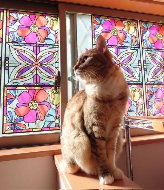 一緒に過ごせた日々は宝物