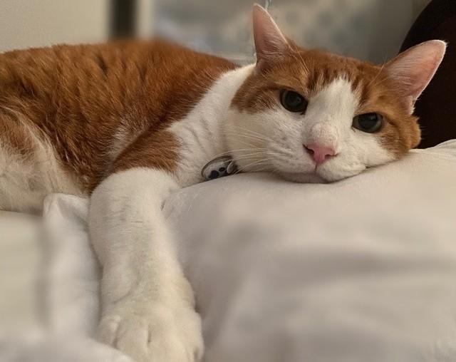 生後4カ月の頃に出会った