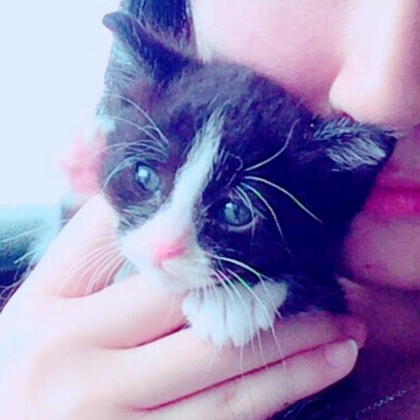 子猫時代、片手におさまるほど小さかったりぃちゃん（画像提供：もみおさん）