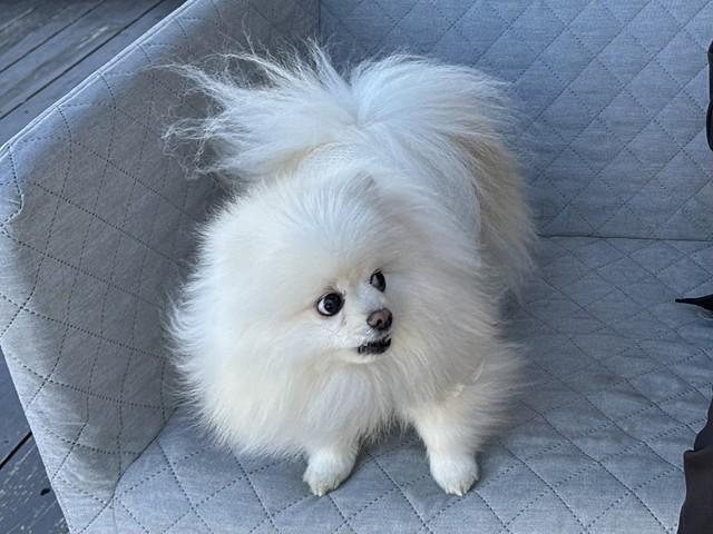 ショック…！！（画像提供：コロ太くん）